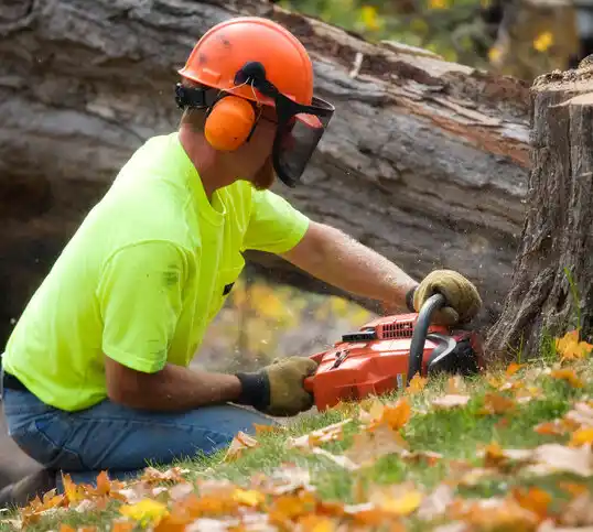 tree services White House Station